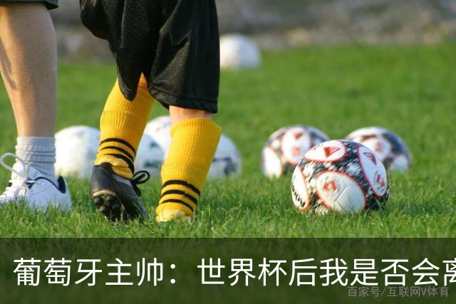 葡萄牙主帅：世界杯后我是否会离任？现在重要的是专注于世界杯